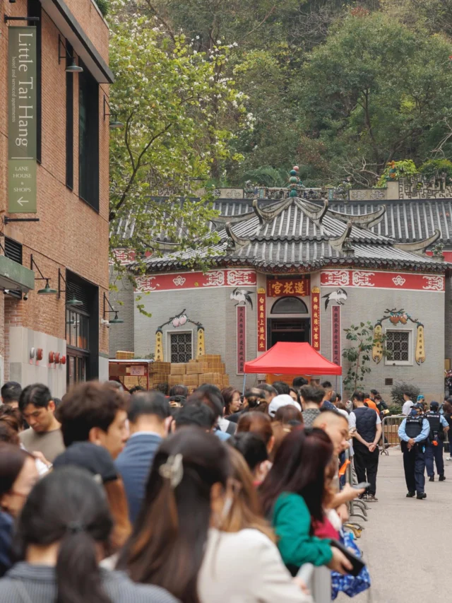 Step into tradition 🌕  Lin Fa Temple stays open all night on March 13–14 for the Kwun Yum Treasury Opening — where believers borrow fortune and blessings for the year ahead. 🧧 

#觀音借庫 #DiscoverTaiHang #KwunYum LinFaTemple TaiHang HongKong