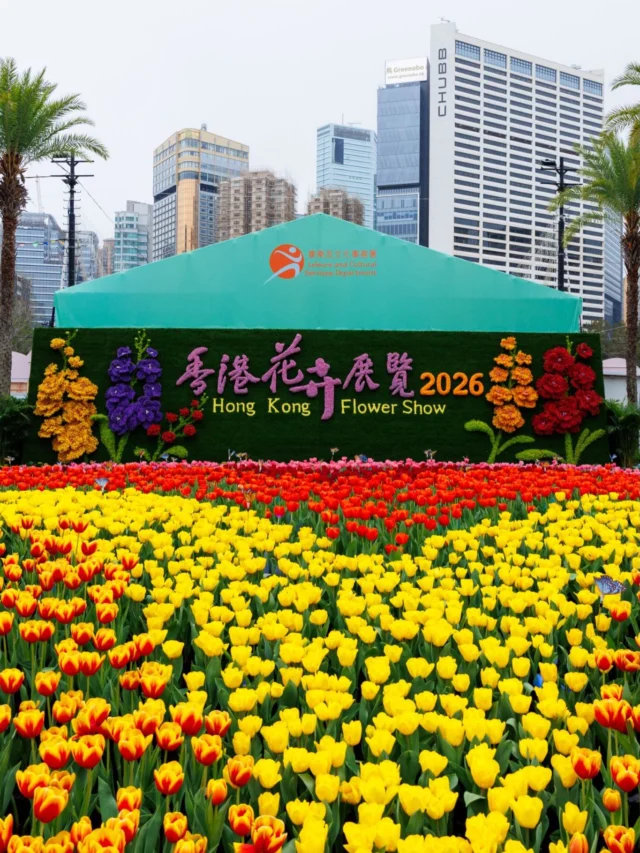 Missed the Hong Kong Flower Show at Victoria Park? Don’t worry — we’ve got you covered with some of our favourite snaps. 🌷
#DiscoverTaiHang #VictoriaPark #HongKong